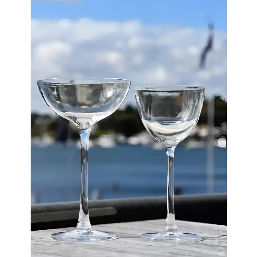 Nick and Nora Cocktail 150ml Polycarbonate Wine Glasses