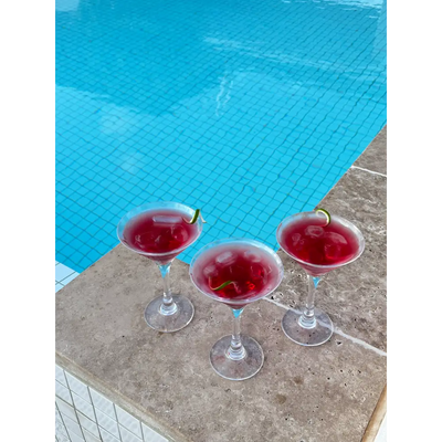 Unbreakable Martini Cocktail 200ml Polycarbonate Stemware