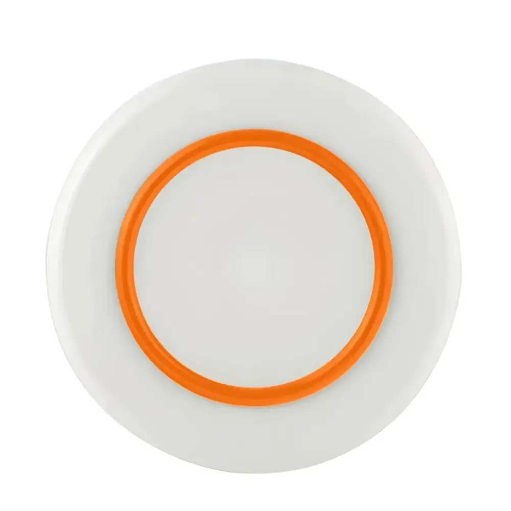 Unbreakable Palm Large Plate Orange Plate