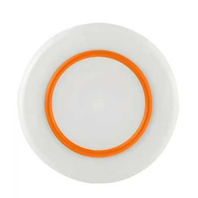 Unbreakable Palm Large Plate Orange Plate