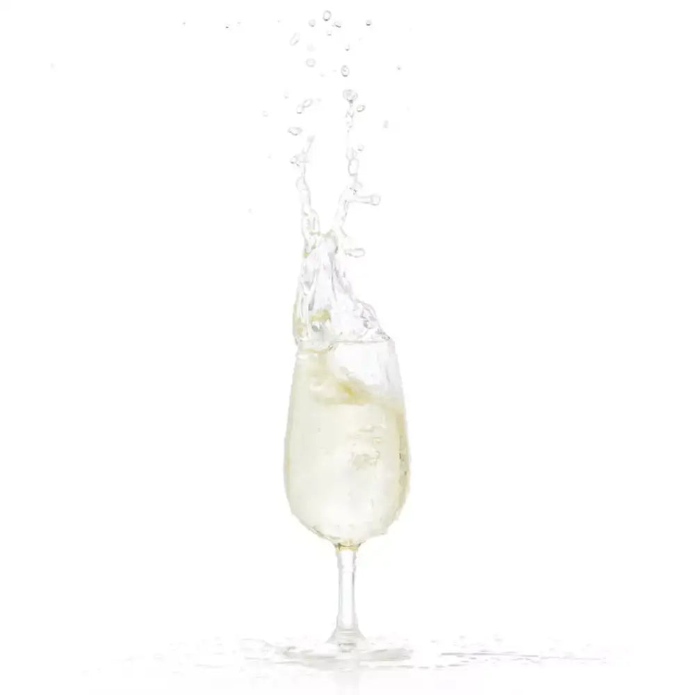 Unbreakable Vino Taster 200mL Polycarbonate Wine Glasses